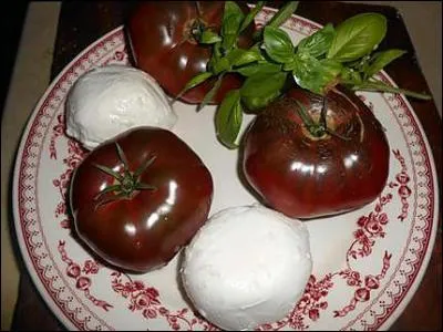 Quelle est cette tomate qui voisine avec les boules de mozarella ?