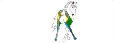 Les adducteurs et les extenseurs de l'antérieur fonctionnent...