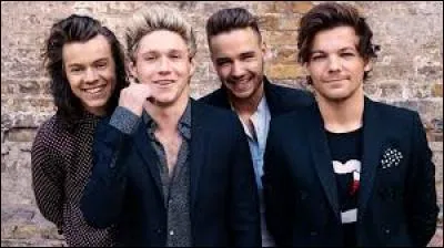 Dans le groupe des One Direction il est considéré comme ...