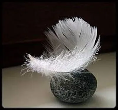 Qu'est-ce qui est le plus lourd entre 1kg de plumes et 1 kg de plomb ?