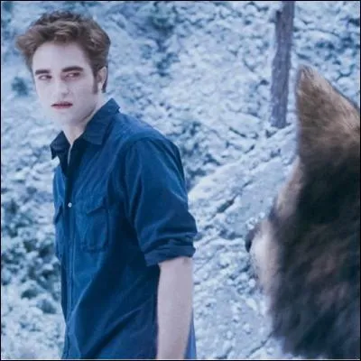 (Hésitation) Quel loup va relever Jacob avant la bataille ?