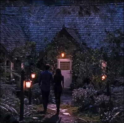 Combien de temps après la naissance de Renesmée Bella fête-t-elle son anniversaire ?