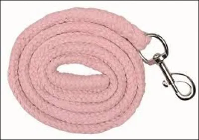 À quoi sert une longe ?