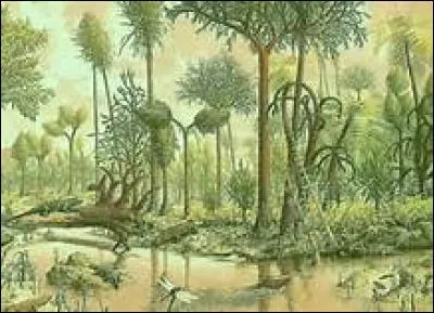 Comment étaient les forêts du Carbonifère autrefois ?
