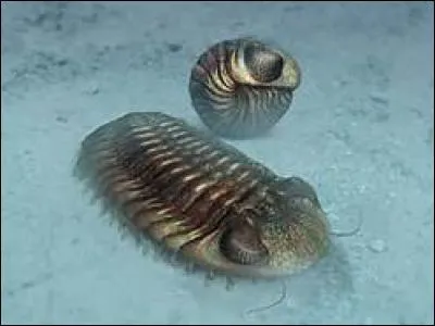 Quand se déroula-t-elle ?