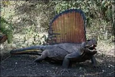 Quelle fut la troisième crise géologique dévoilée par les études ?