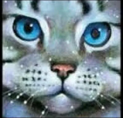 De quel clan est Jolie Plume?