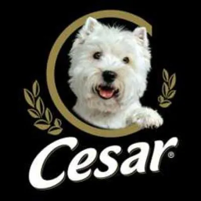 De quelle race est ce toutou, mascotte de la marque d'aliments pour chien César ?