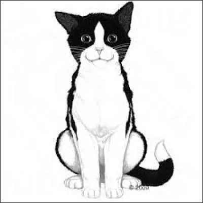 Comment se nomme ce chat fictif inventé par la marque Purina ?