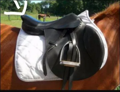 Comment s'appelle la partie fléchée sur la photo ?