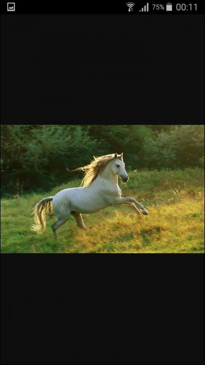 En balade on doit...