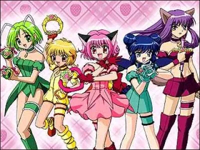 « Mew Mew Power » : Combien sont les Mew Mew ?