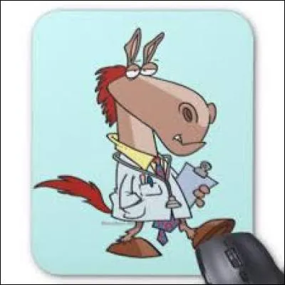 Un cheval est en bonne santé quand...