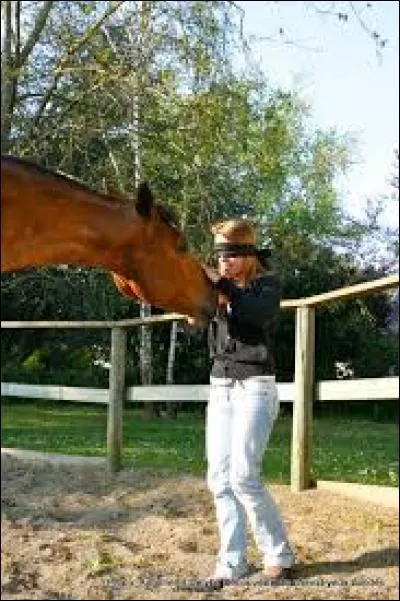Quand j'approche un cheval...