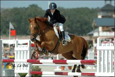 Quelles sont les disciplines en équitation ?