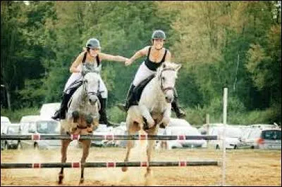 Lors du saut d'un obstacle, où est-on le mieux placé pour sauter ? (deux réponses sont attendues)