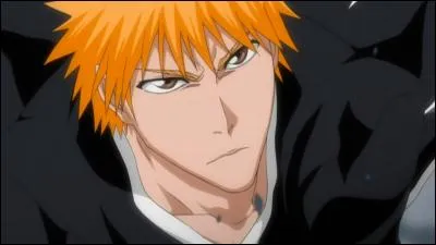 Quel est le nom de famille d'Ichigo ?
