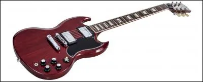 Quel est le nom de cette guitare?