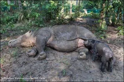 Mise en commun des moyens d'échange, de production, adaptation à la vie de groupe !