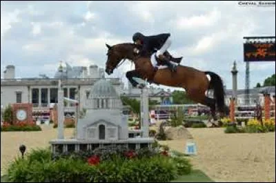 Il y a plusieurs phases dans le saut. Laquelle de ces réponses est la bonne ?