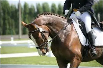 Qu'est-ce que l'incurvation ?