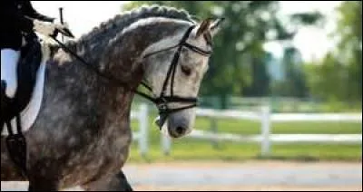 Qu'est-ce que l'amplitude ?