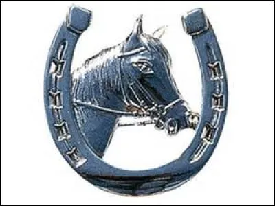 À quelle partie de notre corps le sabot correspond-il pour le cheval ?