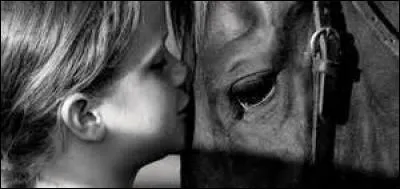 À quelle partie de notre corps le genou du cheval s'apparente-t-il ?