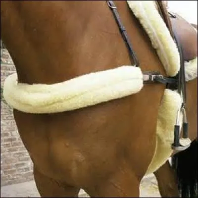 Regardez l'image. Quel est cet équipement supplémentaire ? (Ce n'est pas la mousse.)