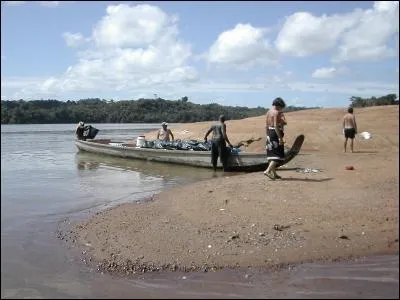 Organe lymphoïde de la gorge !