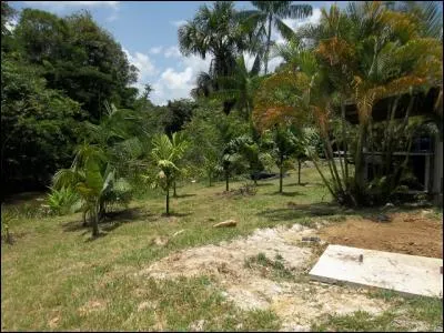 Fossile de l'ère secondaire !