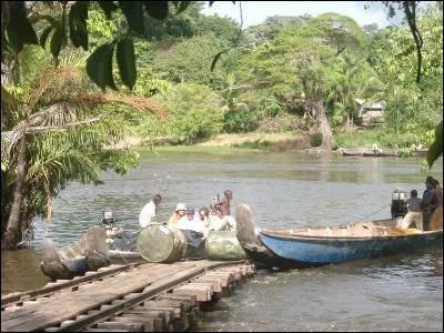 Qu'ils soient Korubo, Wayana, Emerillon, Arawak, Palikur, Guarani ou Yanomami, ils tentent de résister à notre civilisation!