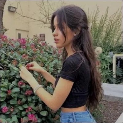 Avec qui Camila a-t-elle eu une relation ?