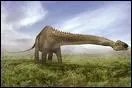 Quel est ce dinosaure ?