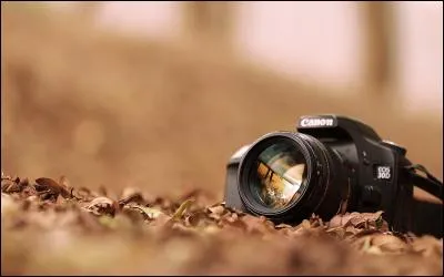 Vrai ou faux ? Lors de mariages aux États-Unis, la majeure partie du budget est souvent consacrée au photographe.