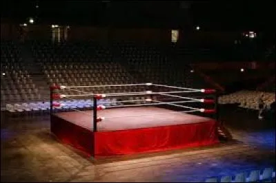 Ce sport se joue sur un ring. On le pratique avec des gants et un "casque". Le sport consiste à frapper l'adversaire. Et, si tu as la rage, va faire de la ... !
