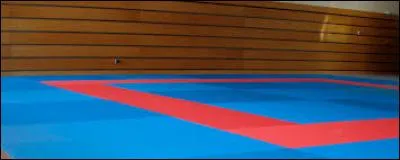 Ce sport consiste à faire des prises à son adversaire.
Comme chaque sport, on devient de plus en plus fort, là il y a les ceintures pour être classé par niveaux. Et si tu as la ceinture noire, tu es vraiment doué. Quel est-donc ce sport ?