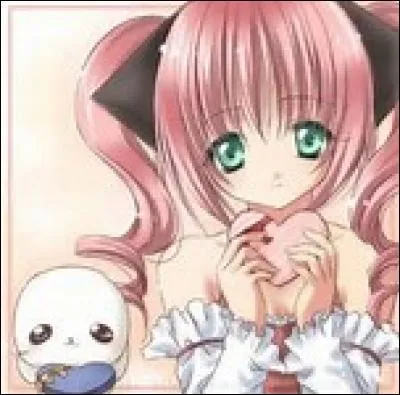 Le dessinateur des mangas est appelé :