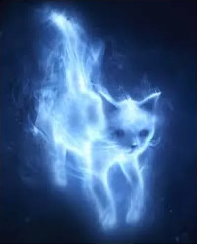 Quels personnages (féminin, toujours) ont un patronus "chat" ?
