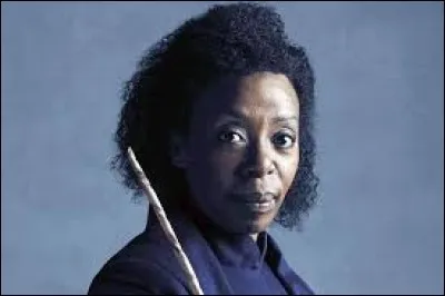 Dans l'adaptation de Harry Potter au théâtre, quel personnage a créé le scandale car la comédienne était noire ? (scandale débile par ailleurs... : /)
