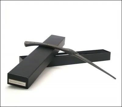 A qui appartient cette baguette ?