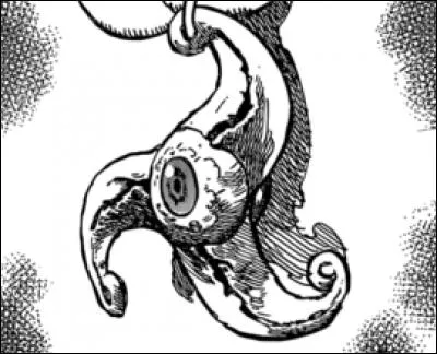 Quel nouveau pouvoir possède Hawk ?