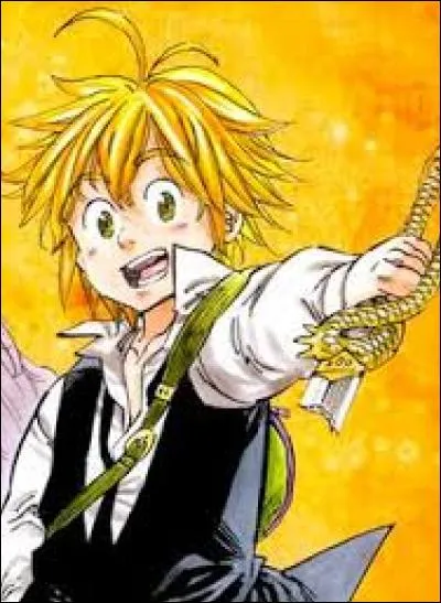 Qui est Meliodas ?