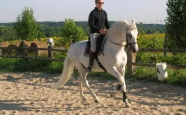Quiz Galop 4