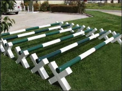 Quel est le nom de cet obstacle qui ne dépasse jamais 50 cm?