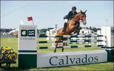 Quelle sont les phases du saut d'obstacles ?