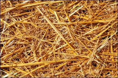 La paille ...