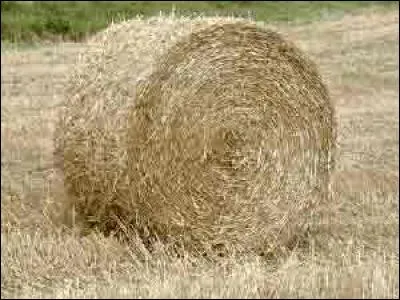 Comment se nomme cette botte de paille.....?