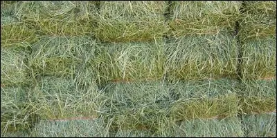 Qu'est-ce-que du foin ?