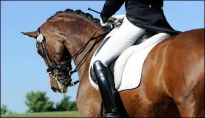 La définition du contact ...?